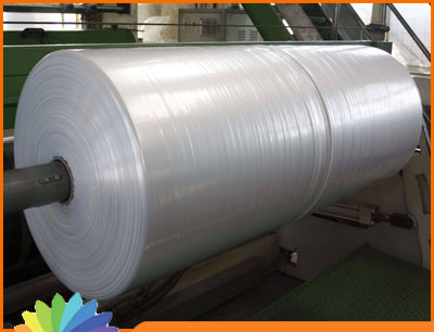 Màng PE Jumbo cuộn lớn